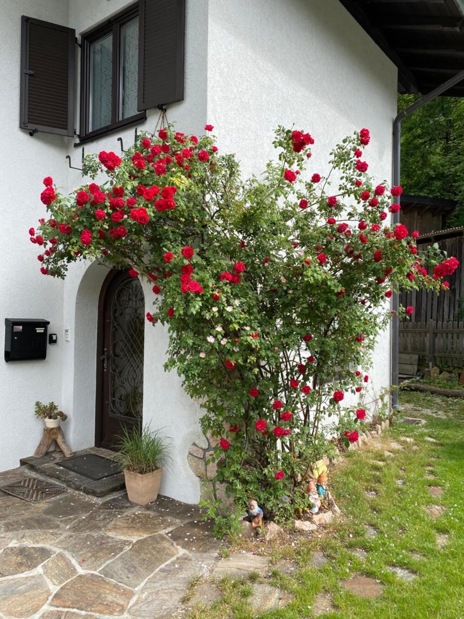 Ferienwohnung Laimer, Radau 37 Sankt Wolfgang im Salzkammergut Exterior photo